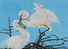 #500 Feathers of Glowing White 22 x 15