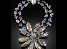 Abalone Splendor